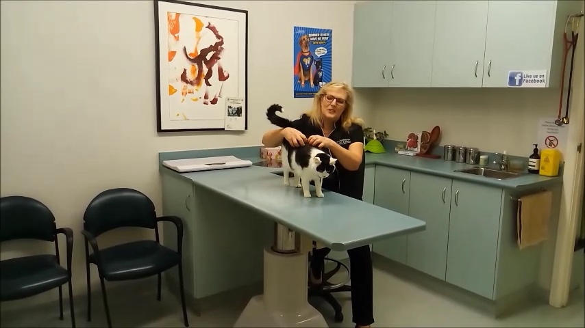 video